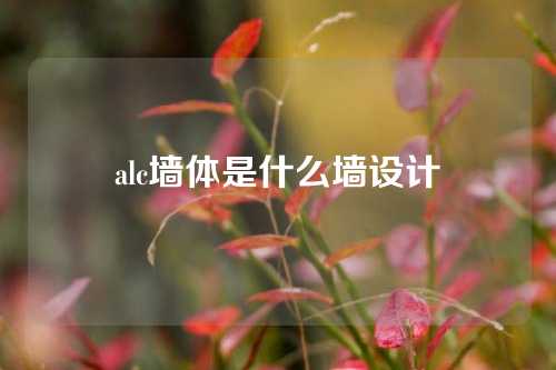 alc墙体是什么墙设计