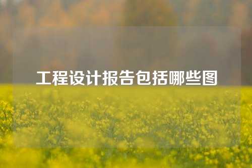 工程设计报告包括哪些图