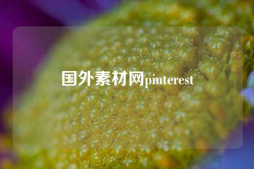 国外素材网pinterest