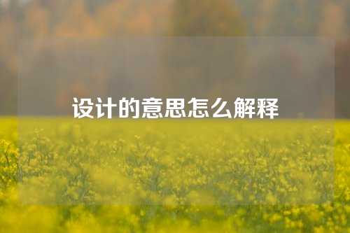 设计的意思怎么解释