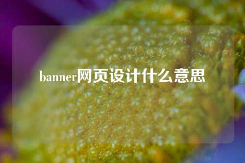 banner网页设计什么意思