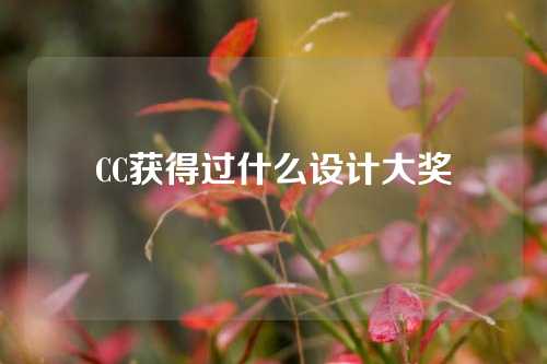 CC获得过什么设计大奖