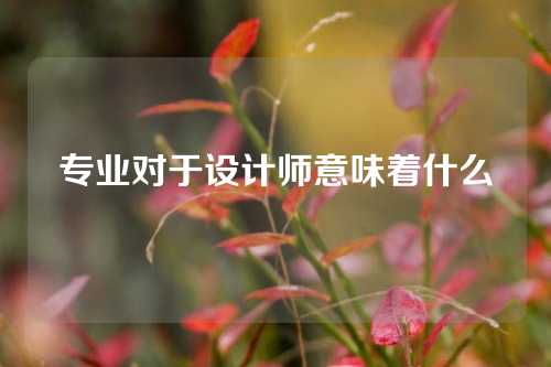 专业对于设计师意味着什么