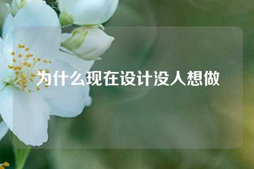 为什么现在设计没人想做