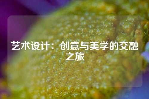 艺术设计：创意与美学的交融之旅