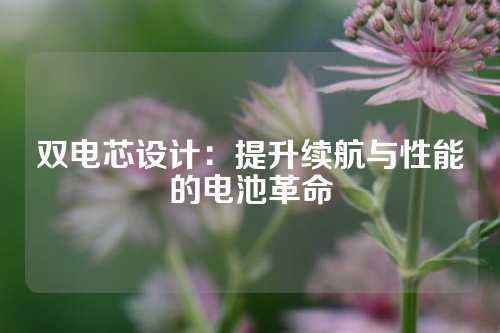 双电芯设计：提升续航与性能的电池革命