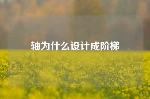 轴为什么设计成阶梯