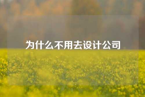 为什么不用去设计公司