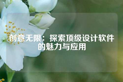 创意无限：探索顶级设计软件的魅力与应用