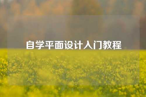 自学平面设计入门教程