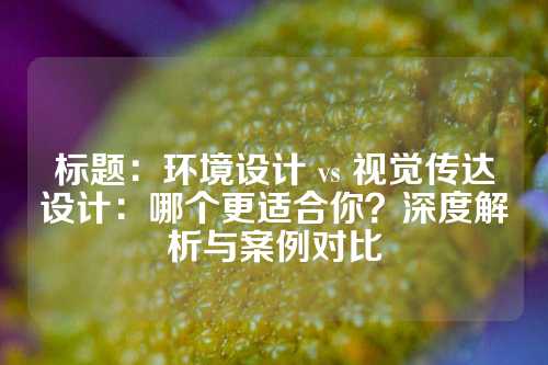 标题：环境设计 vs 视觉传达设计：哪个更适合你？深度解析与案例对比