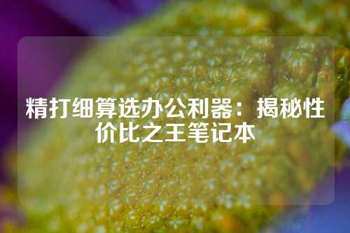 精打细算选办公利器：揭秘性价比之王笔记本