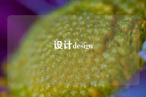 设计design