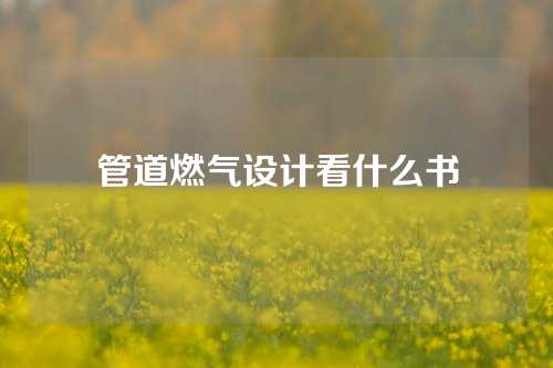 管道燃气设计看什么书