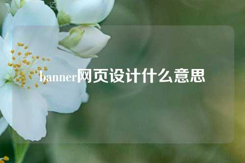 banner网页设计什么意思