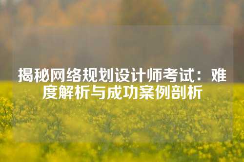 揭秘网络规划设计师考试：难度解析与成功案例剖析