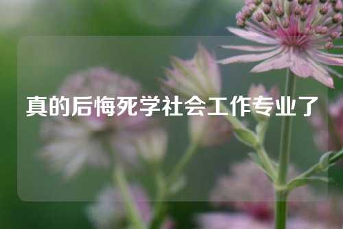 真的后悔死学社会工作专业了