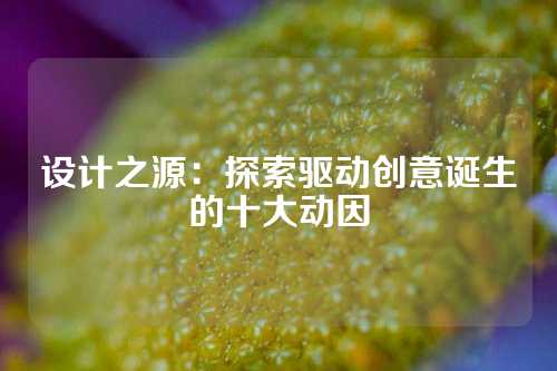 设计之源：探索驱动创意诞生的十大动因