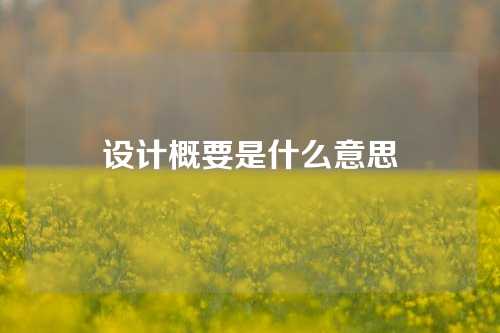 设计概要是什么意思