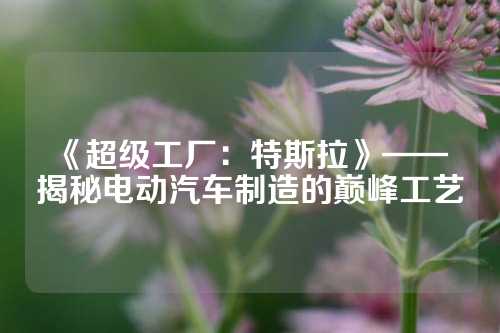 《超级工厂：特斯拉》—— 揭秘电动汽车制造的巅峰工艺