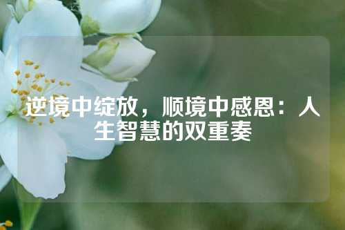 逆境中绽放，顺境中感恩：人生智慧的双重奏