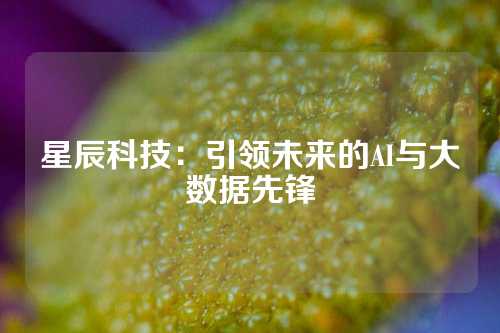 星辰科技：引领未来的AI与大数据先锋