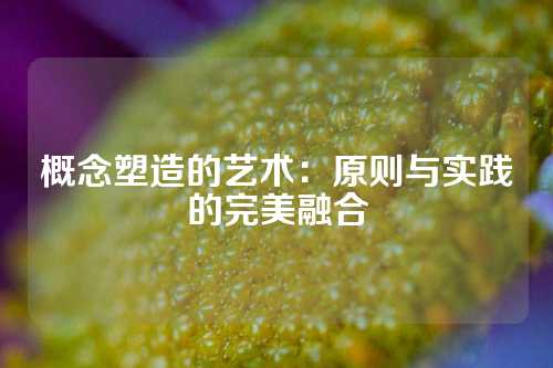 概念塑造的艺术：原则与实践的完美融合