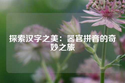 探索汉字之美：器官拼音的奇妙之旅