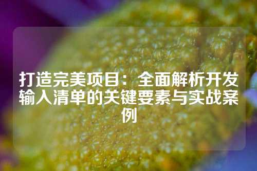 打造完美项目：全面解析开发输入清单的关键要素与实战案例