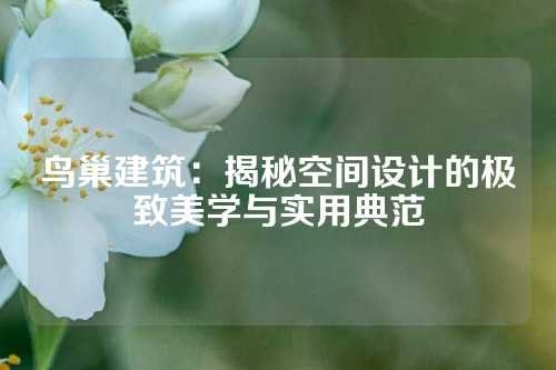 鸟巢建筑：揭秘空间设计的极致美学与实用典范