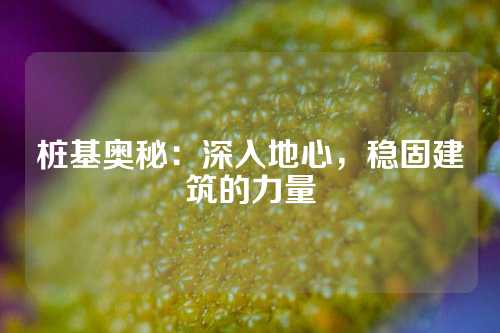 桩基奥秘：深入地心，稳固建筑的力量