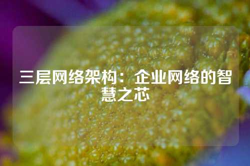 三层网络架构：企业网络的智慧之芯