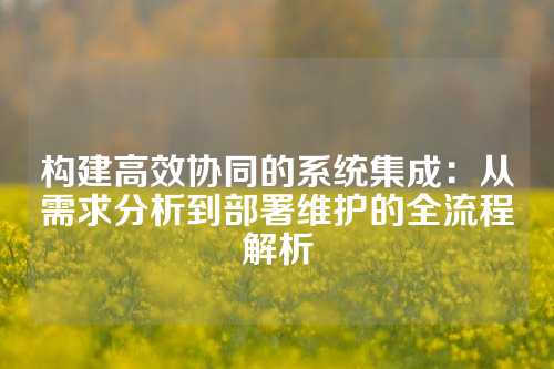 构建高效协同的系统集成：从需求分析到部署维护的全流程解析