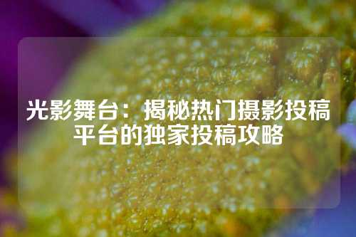 光影舞台：揭秘热门摄影投稿平台的独家投稿攻略