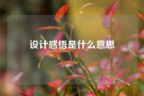 设计感悟是什么意思