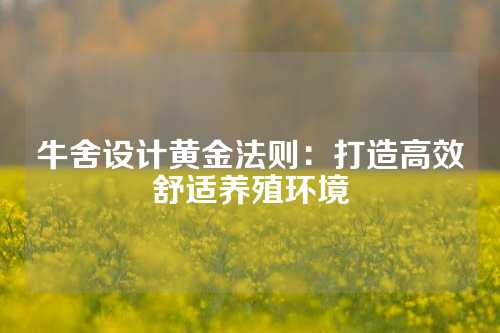 牛舍设计黄金法则：打造高效舒适养殖环境