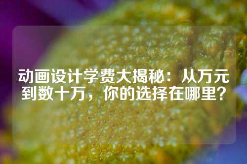 动画设计学费大揭秘：从万元到数十万，你的选择在哪里？