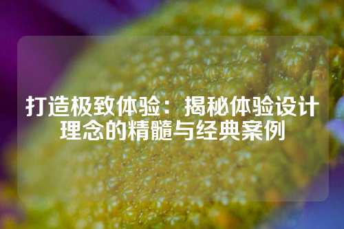 打造极致体验：揭秘体验设计理念的精髓与经典案例