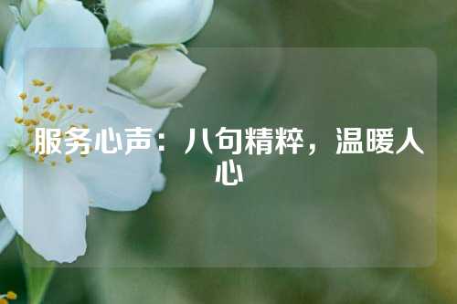 服务心声：八句精粹，温暖人心