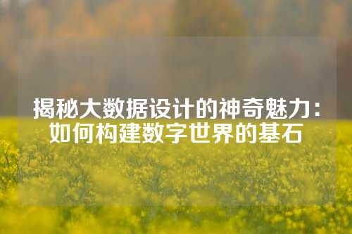 揭秘大数据设计的神奇魅力：如何构建数字世界的基石