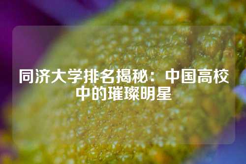 同济大学排名揭秘：中国高校中的璀璨明星