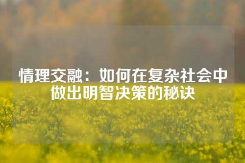 情理交融：如何在复杂社会中做出明智决策的秘诀