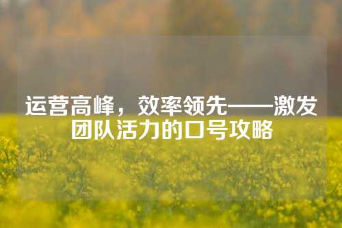 运营高峰，效率领先——激发团队活力的口号攻略