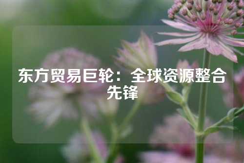 东方贸易巨轮：全球资源整合先锋