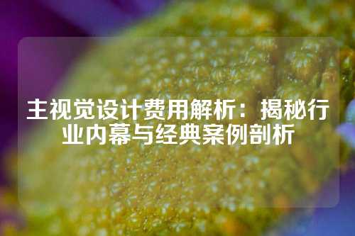 主视觉设计费用解析：揭秘行业内幕与经典案例剖析