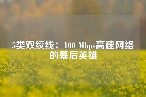 5类双绞线：100 Mbps高速网络的幕后英雄