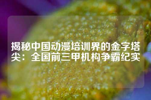 揭秘中国动漫培训界的金字塔尖：全国前三甲机构争霸纪实