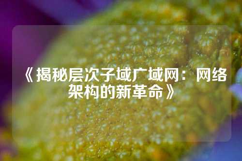 《揭秘层次子域广域网：网络架构的新革命》