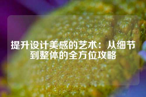 提升设计美感的艺术：从细节到整体的全方位攻略