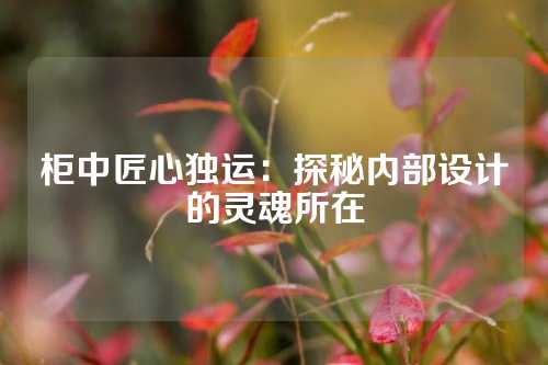 柜中匠心独运：探秘内部设计的灵魂所在